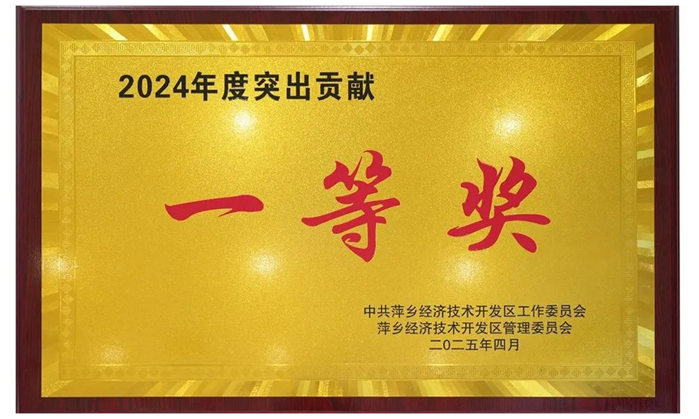2024年突出貢獻獎